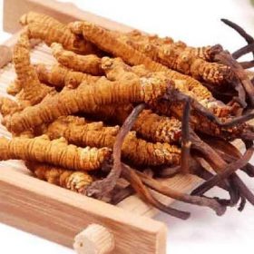 Đông trùng hạ thảo