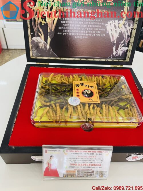 Đông Trùng Hạ Thảo Nguyên Con Hàn Quốc Dong Chung Ha Cho Gold 45 Gram 6