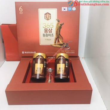 Cao Hồng Sâm Đông Trùng Hạ Thảo 365 Gold Samsung