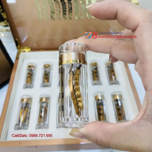 Con Đông Trùng Hạ Thảo Tây Tạng loại 10 gram 30 con 14