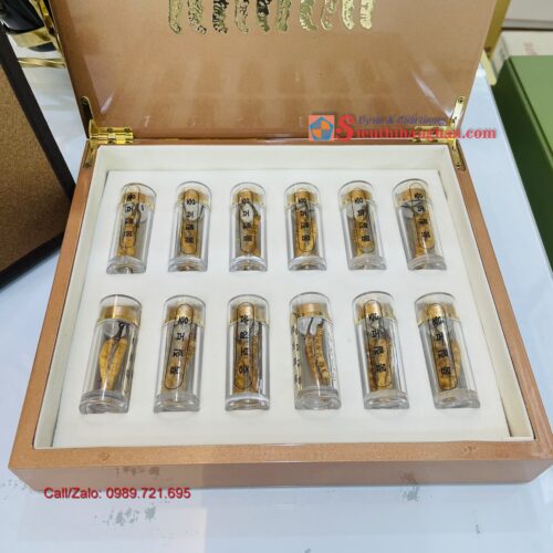 Con Đông Trùng Hạ Thảo Tây Tạng loại 10 gram 30 con 10