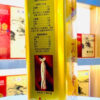 Thiên sâm củ khô Korea Taekuk Ginseng 300 gram 10 củ ·· hàng hiếm của đất trời 22
