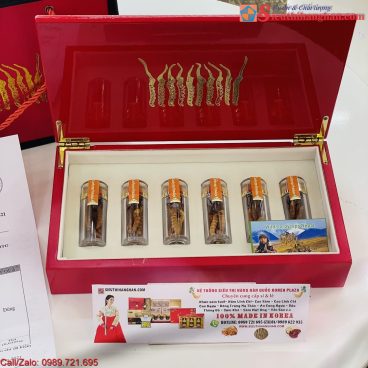 Đông trùng hạ thảo Tây Tạng giá như thế nào 1