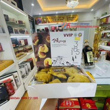 Nấm thượng hoàng VVIP 365 Hàn Quốc Cao Cấp dành cho bệnh Ung thư
