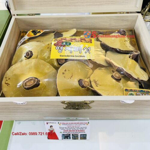 Nấm linh chi vàng hộp 365 Imsil Lingzhi Mushroom Cao Cấp Hàn Quốc 14