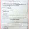 Nấm linh chi Imsil Nonghuyp Hàn Quốc 500 gram hãng Daedong Lingzhi 19