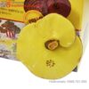 Nấm linh chi Imsil Nonghuyp Hàn Quốc 500 gram hãng Daedong Lingzhi 10