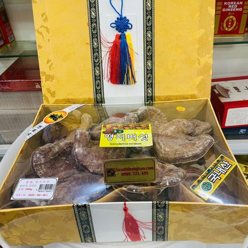 cận cảnh từng tai nấm hàn quốc thiên nhiên
