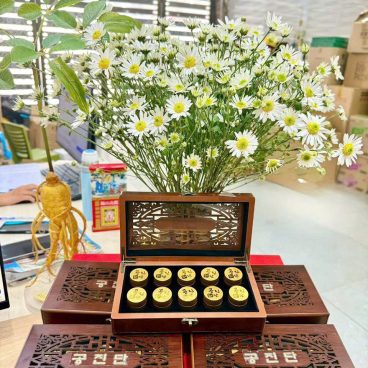 Viên hoàn Cống Thần Đơn cao cấp kết hợp hồng sâm linh chi nhung hươu