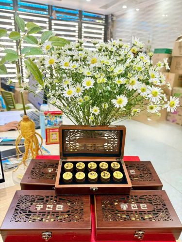 Viên hoàn Cống Thần Đơn cao cấp kết hợp hồng sâm linh chi nhung hươu