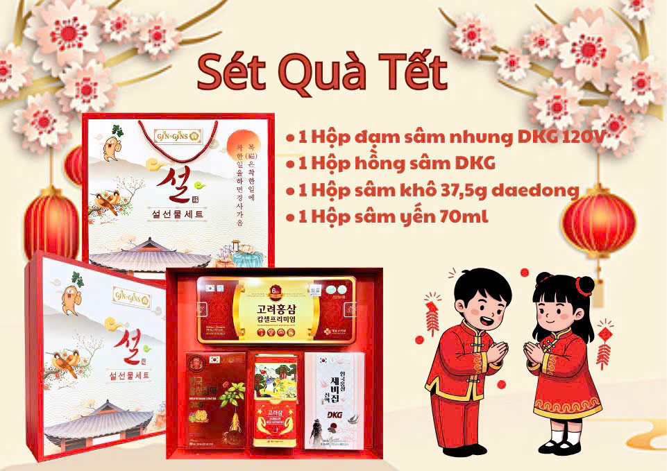 Set Quà Tết Sức Khỏe hồng sâm 6 năm tuổi, hồng sâm khô Daedong và hồng sâm yến